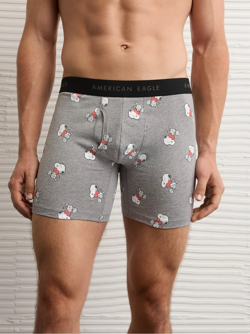 American Eagle Outfitters Gray Boxer Briefs Regular Length